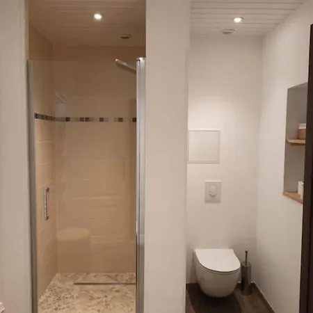 Batisse Du 19eme De 290m2 Avec Piscine Couverte Saint-Medard-en-Jalles